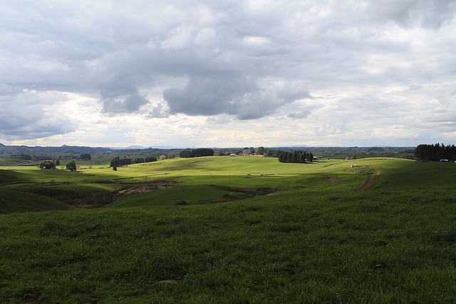 Hamilton New Zealand, Farmland