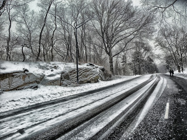 Winter, Central Park, New York