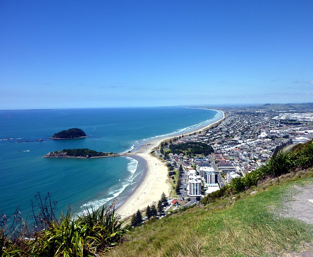 Tauranga Bay View