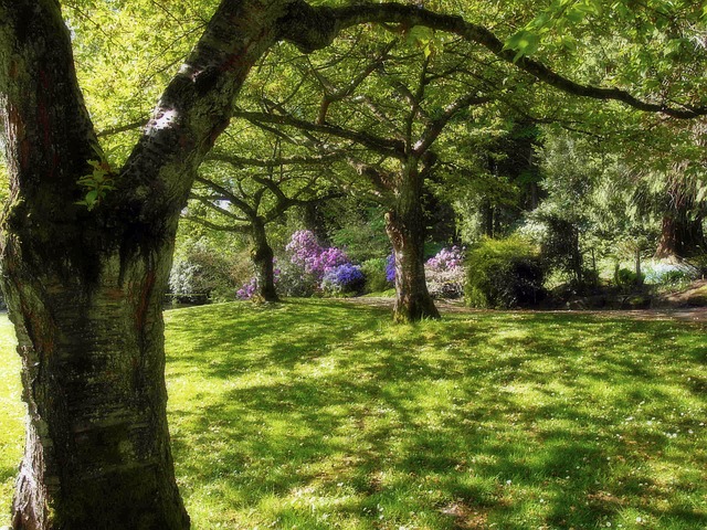 Vancouver, Stanley Park